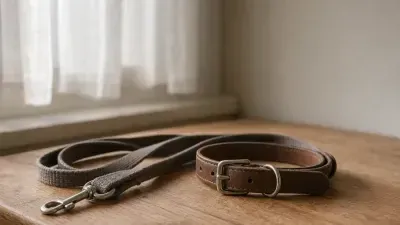 Что делать, если умерла собака: практические рекомендации и варианты прощания